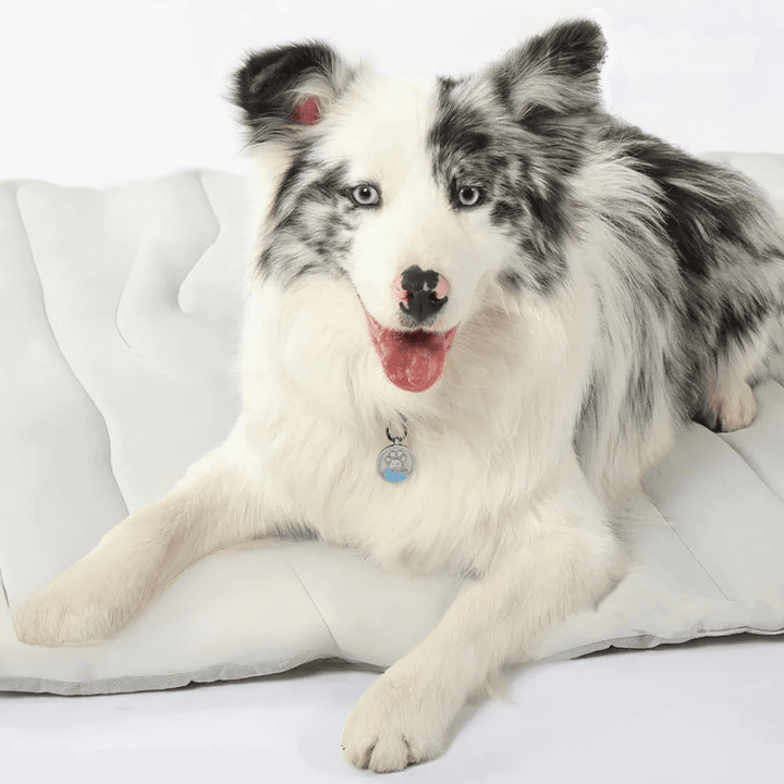 CoolPaws Cooling Mat – Self-Cooling Dog Mat for Hot Summer Relief