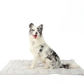 CoolPaws Cooling Mat – Self-Cooling Dog Mat for Hot Summer Relief