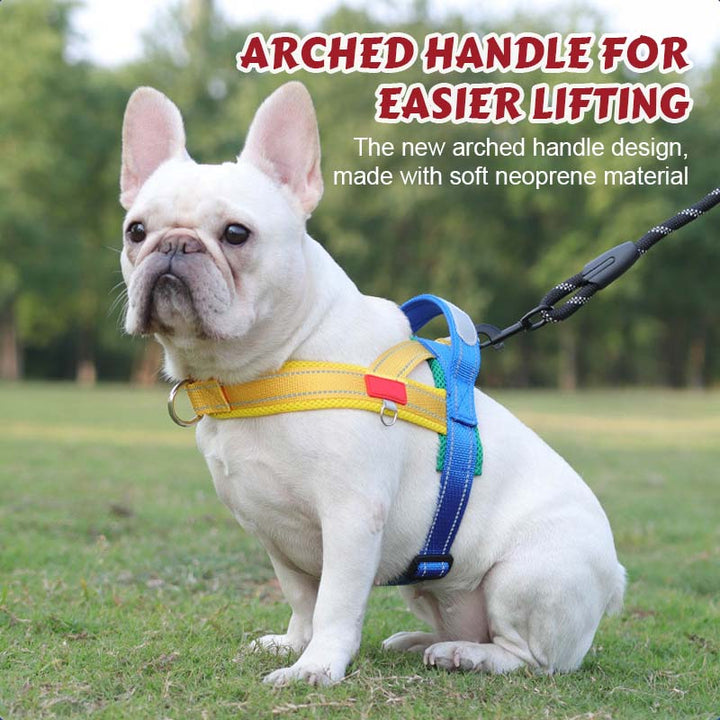 PawEase Comfort Harness — Relaxed Dressing and Unlimited Freedom for Your Dog |