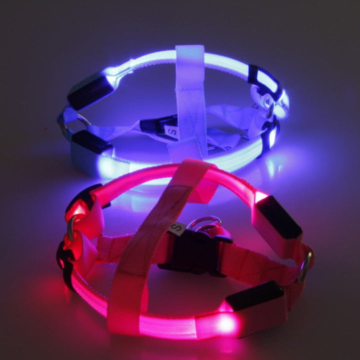 Dog harness with LED - Glow&amp;Go