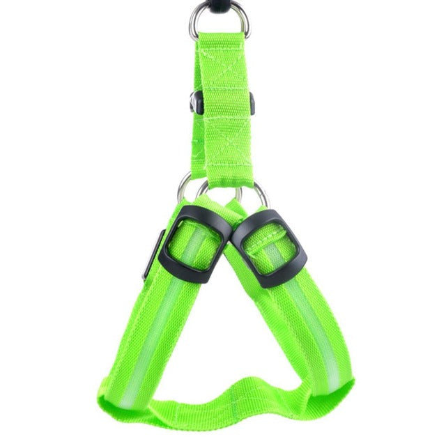 Dog harness with LED - Glow&amp;Go