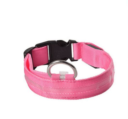 Dog collar with LED light |