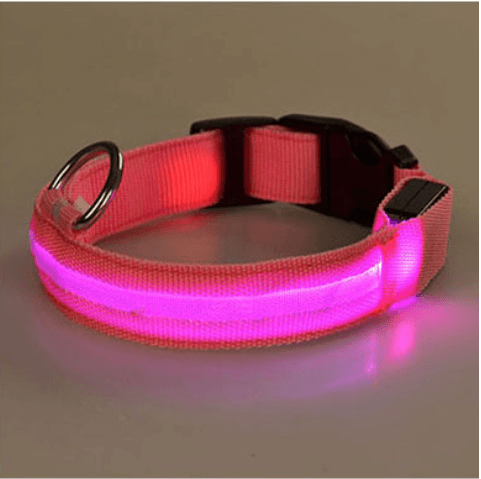 Dog collar with LED light |