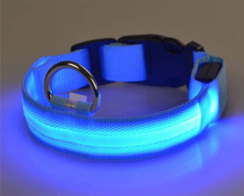 Dog collar with LED light |