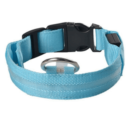 Dog collar with LED light |