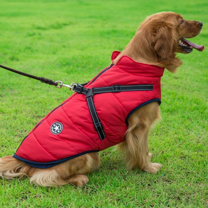 Winter Dog Jacket with Harness |