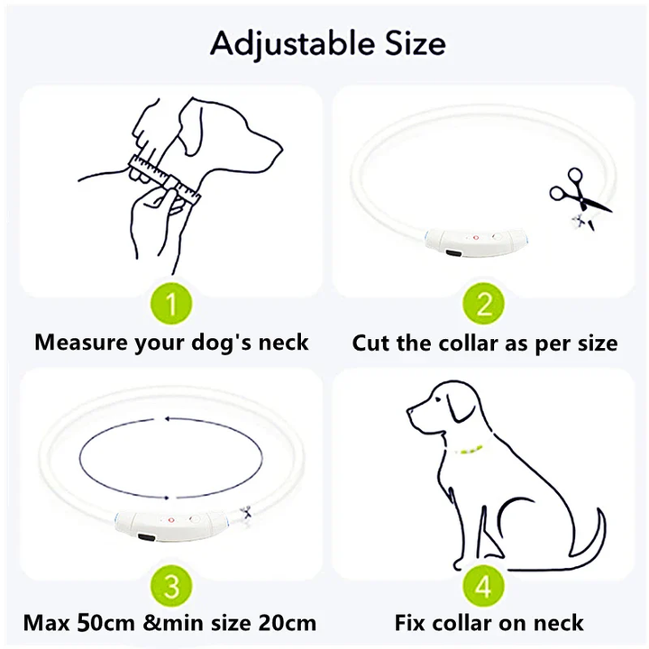Light Up Dog Collar, USB Rechargeable LED Glowing Collar