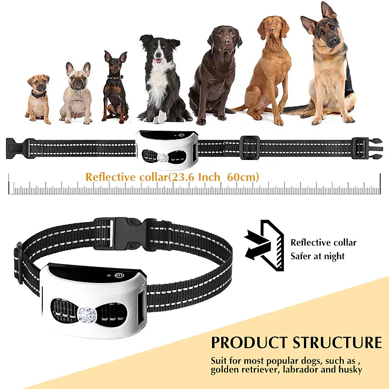 2-in-1 Wireless Dog Fence &amp; Outdoor Training Collar