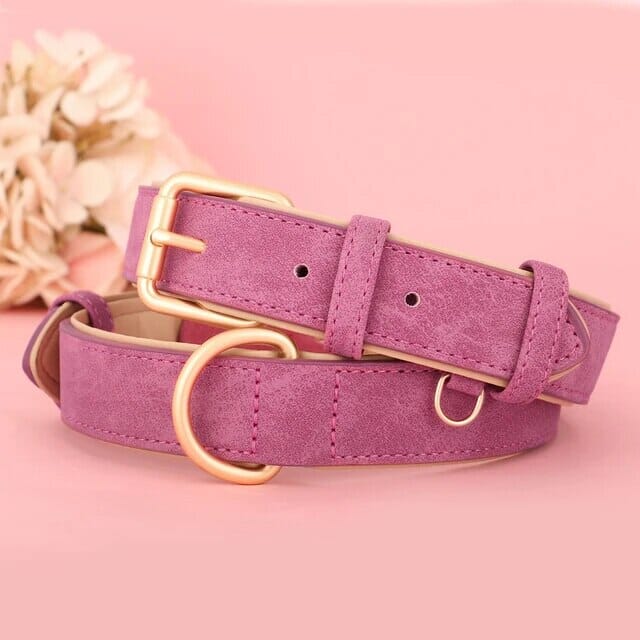 Pup Collar