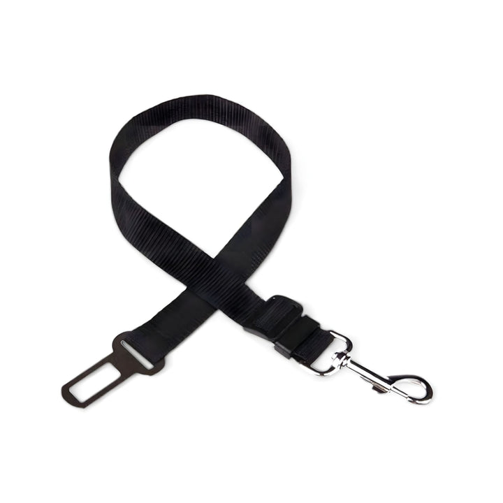 Gurt-Harness