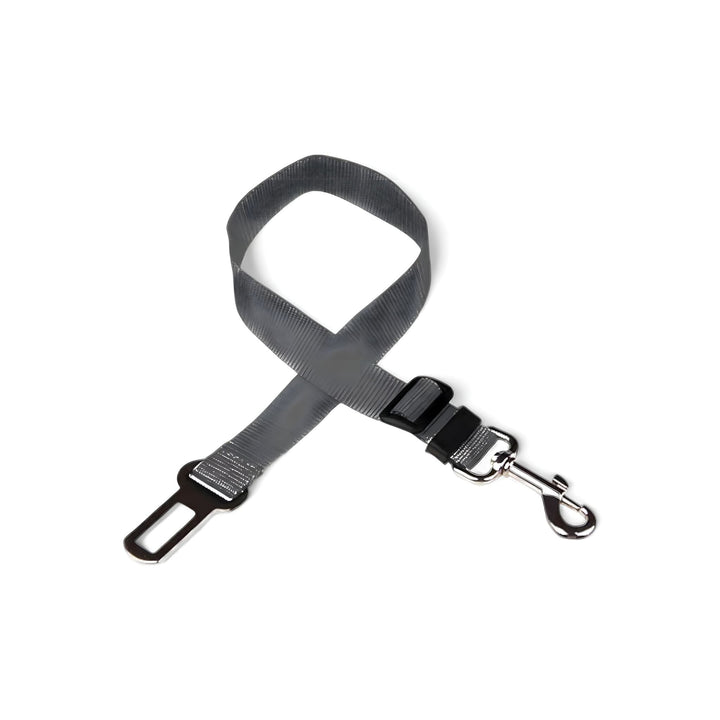 Gurt-Harness