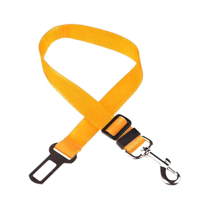 Gurt-Harness