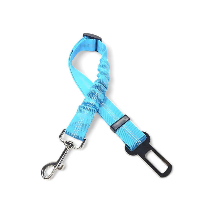 Gurt-Harness