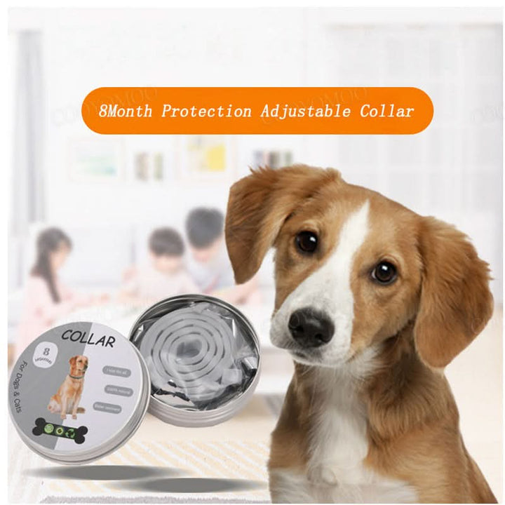 PAWTECT - Anti-tick and flea collar