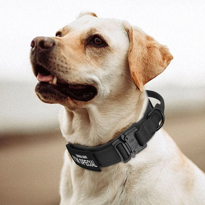 Durable &amp; Adjustable Collar for Training &amp; Everyday Use