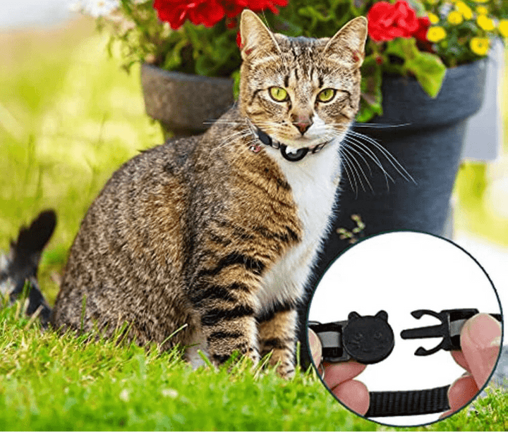 FELITRACK – Cat GPS Tracker Collar with Reflective Design
