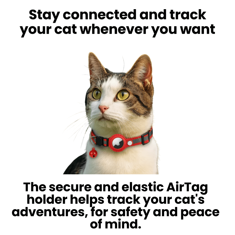 FELITRACK – Cat GPS Tracker Collar with Reflective Design
