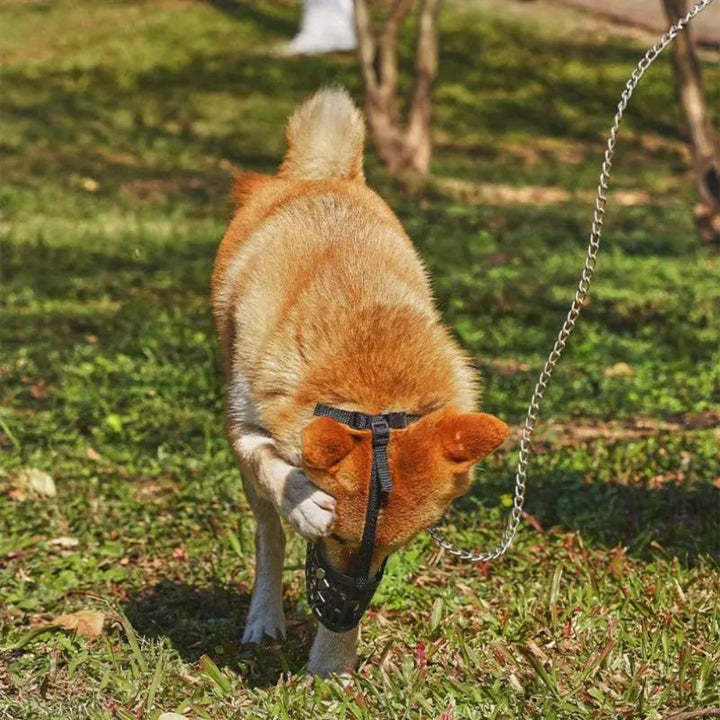 FlexGuard • Basket Dog Muzzle