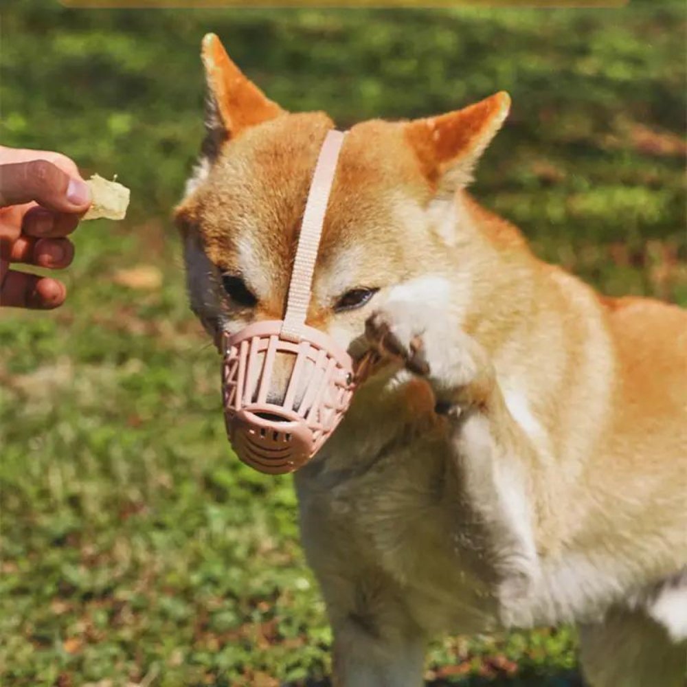FlexGuard • Basket Dog Muzzle