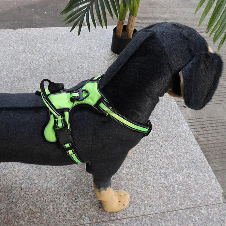 FlexHarness  •  No Pull Dog Harness