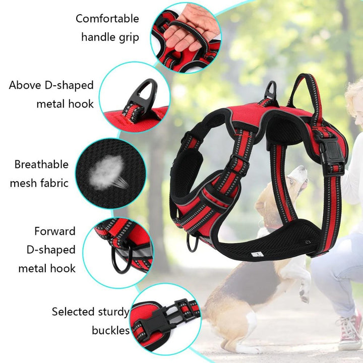 FlexHarness  •  No Pull Dog Harness