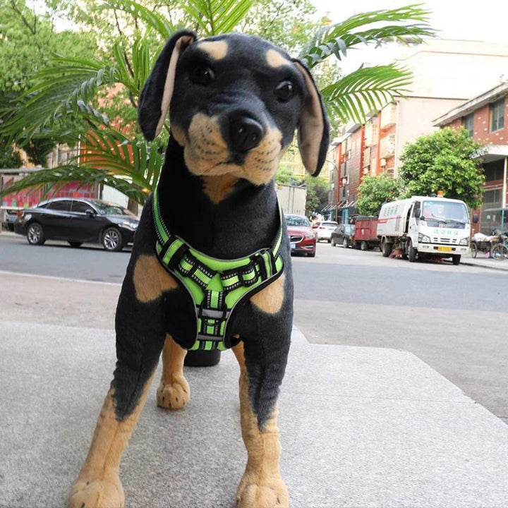 FlexHarness  •  No Pull Dog Harness
