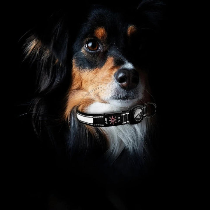 GlowGuard • AirTag Dog Collar