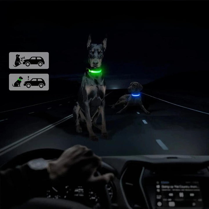 GlowGuard • AirTag Dog Collar