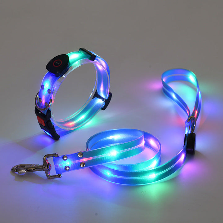 Glowing LED Dog Collar with Leash - NightBright
