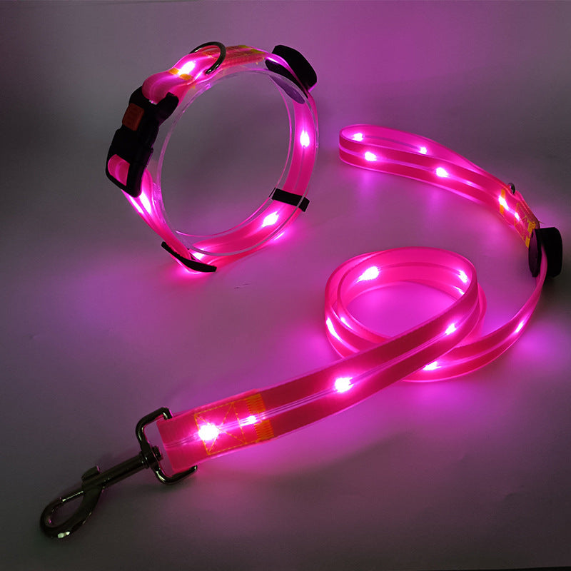 Glowing LED Dog Collar with Leash - NightBright