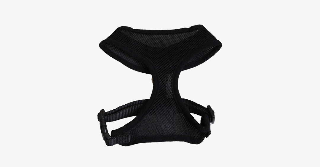 Comfort Control Dog Harnesses