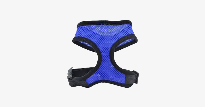 Comfort Control Dog Harnesses