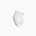 Heart Dry Plants Artificial Vase