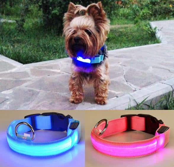 Dog collar with LED light |