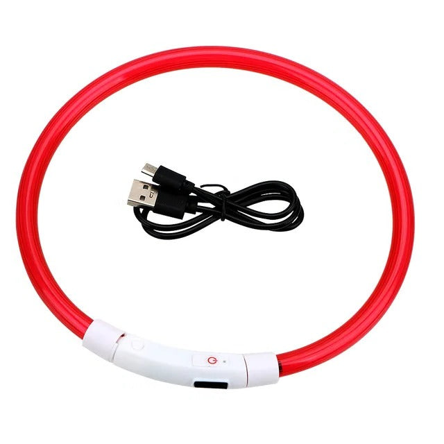 Light Up Dog Collar, USB Rechargeable LED Glowing Collar