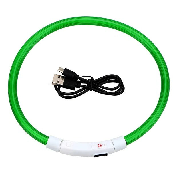 Light Up Dog Collar, USB Rechargeable LED Glowing Collar