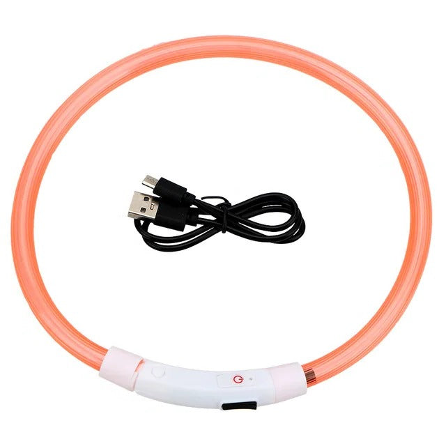Light Up Dog Collar, USB Rechargeable LED Glowing Collar