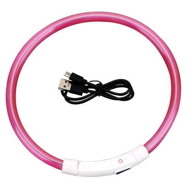Light Up Dog Collar, USB Rechargeable LED Glowing Collar