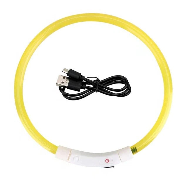 Light Up Dog Collar, USB Rechargeable LED Glowing Collar