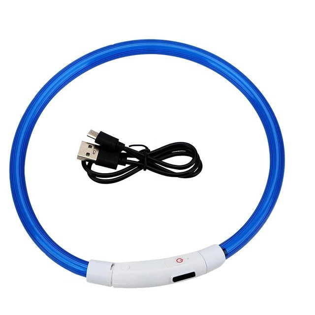 Light Up Dog Collar, USB Rechargeable LED Glowing Collar