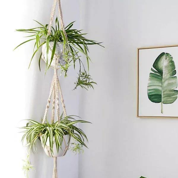 4-piece handmade Boho macrame plant hanger set