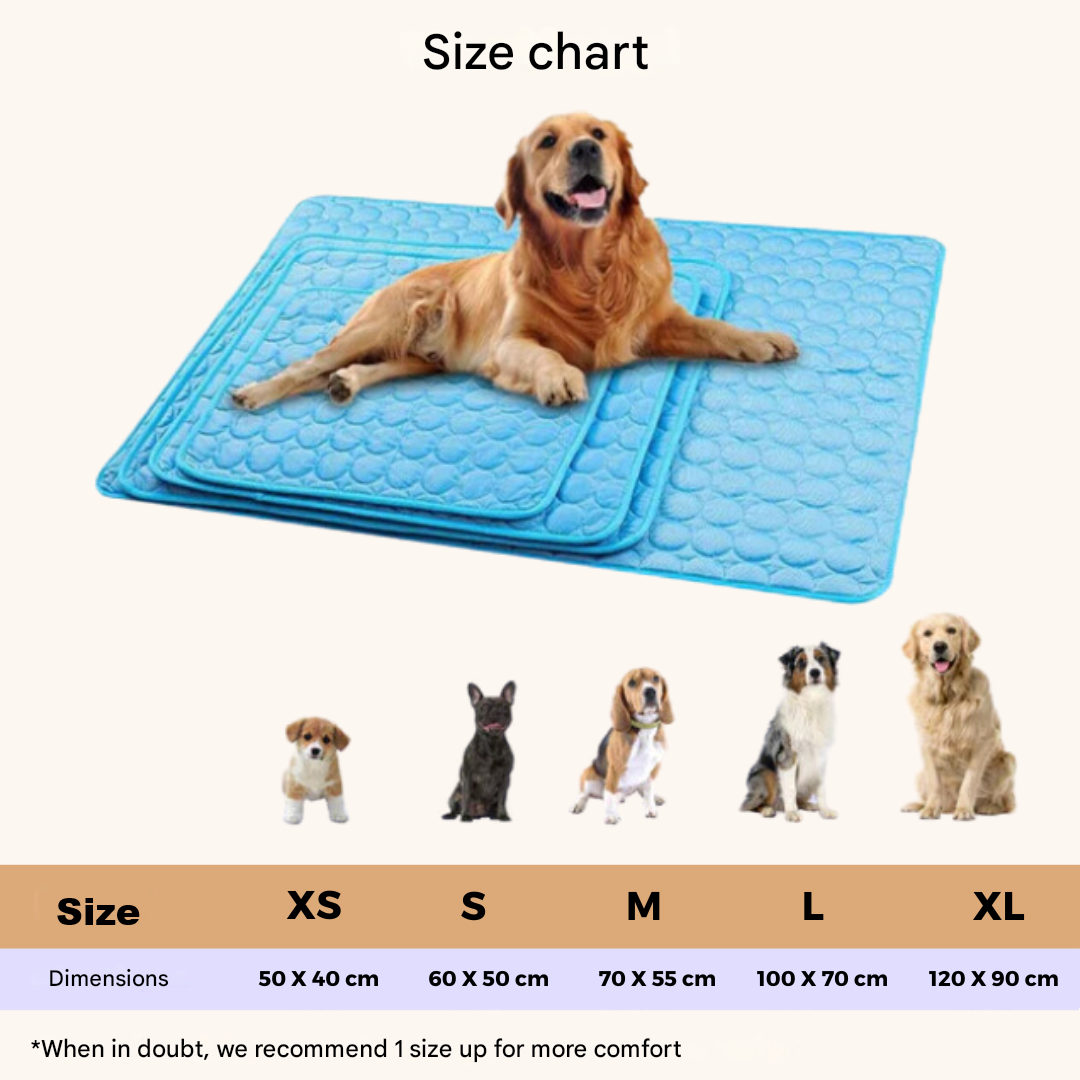 Innovative Cooling Mat for Dogs (4x Cooling Power) - ChillComfort