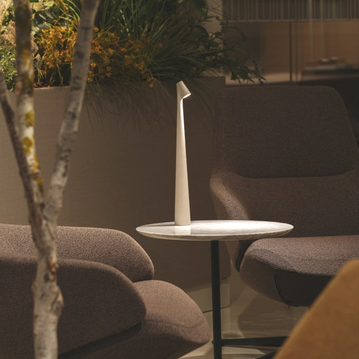 Sculpting table lamp
