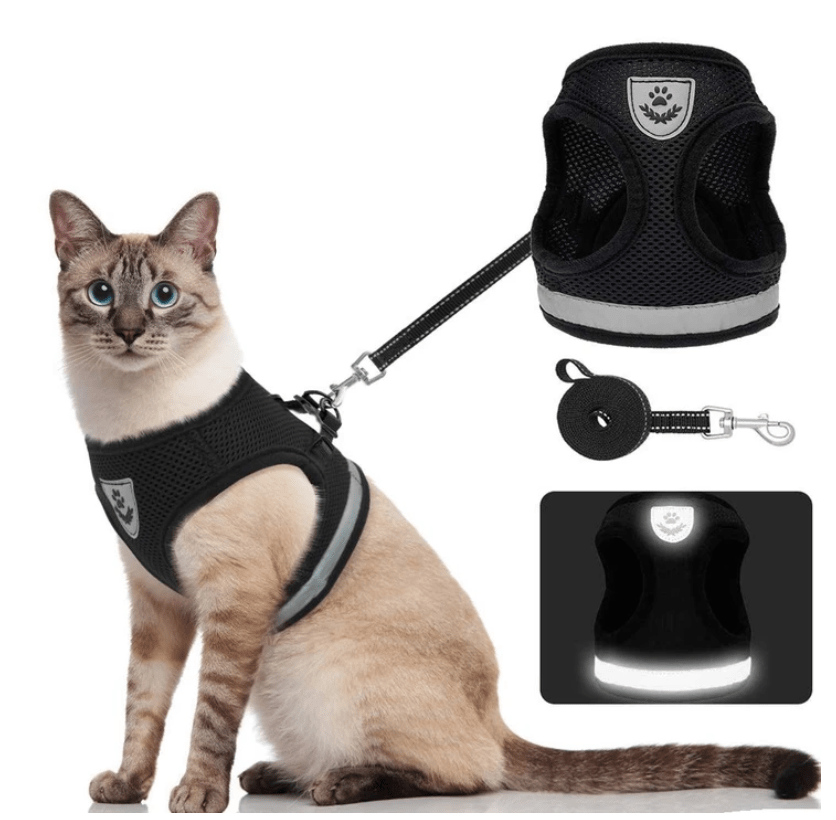 ADVENTURE HARNESS – Escape-proof cat harness with leash &amp; reflective elements