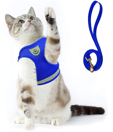 AdventureKit - Safe Harness for Adventurous Cats