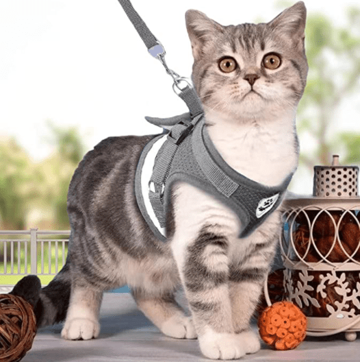 ADVENTURE HARNESS – Escape-proof cat harness with leash &amp; reflective elements