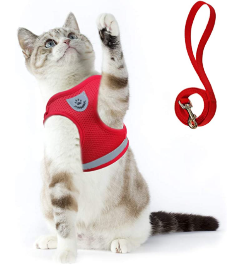 AdventureKit - Safe Harness for Adventurous Cats