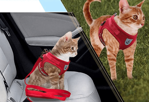 ADVENTURE HARNESS – Escape-proof cat harness with leash &amp; reflective elements