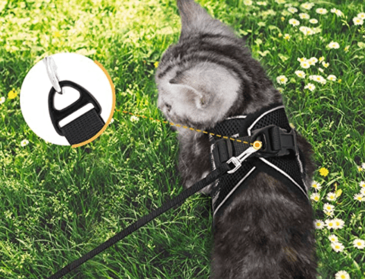ADVENTURE HARNESS – Escape-proof cat harness with leash &amp; reflective elements