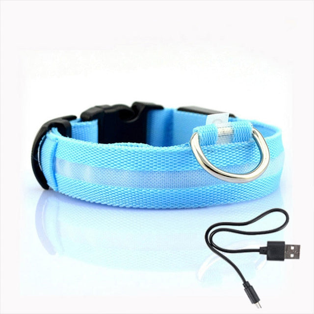 LED Dog Collar - GlowCollar